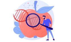 El impacto de los códigos de barras en la seguridad alimentaria