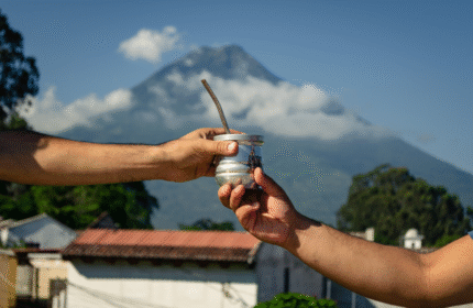 Encontrá el código de barras adecuado para la Yerba Mate en Argentina