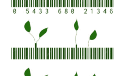 Código de barras con hojas verdes en línea.