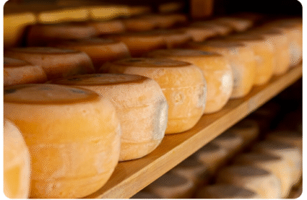 Sin código de barras no hay góndola: vendé tu queso como un profesional Imagen